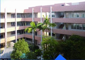 東涌鎮魚窩頭中學改造工程